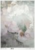 motywy roślinne, motywy kwiatowe, tło, tapeta, kolaż, rośliny, kwiaty*floral motifs, floral motifs, background, wallpaper, collage, plants, flowers*blumenmotive, blumenmotive, hintergrund, wallpaper, collage, pflanzen, blumen*motivos florales, motivos flo
